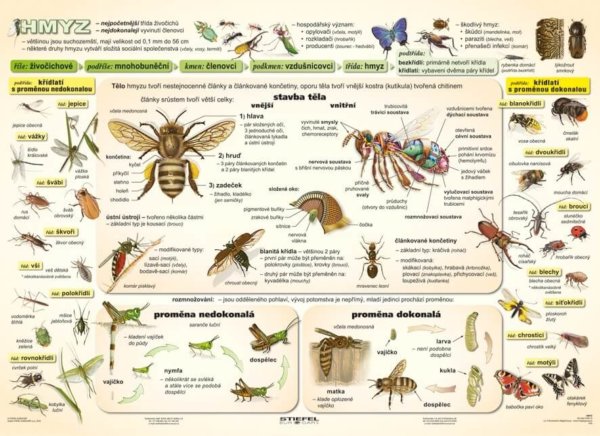 Hmyz I.díl, 160 x 120