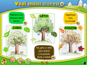 Tvary a barvy - Image 5