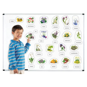 Léčivé rostliny – magnetky